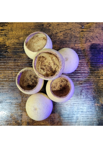 Bael Pods (Pack of 2)