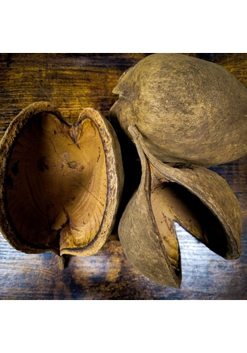 Buddah Nut Pods