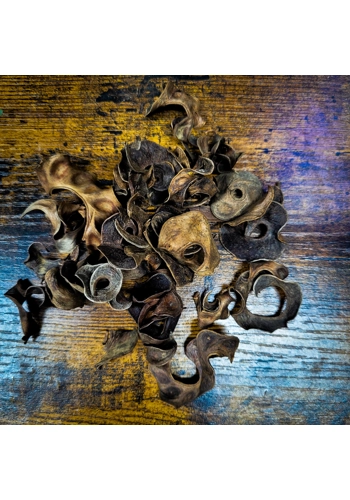Earleaf Acacia Pods (30g)