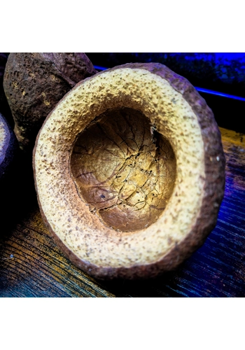 Chapeuzinho Pods XL  (7..