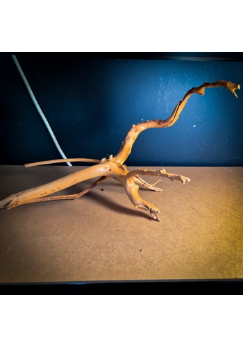 Spider Wood Large SW10 ..