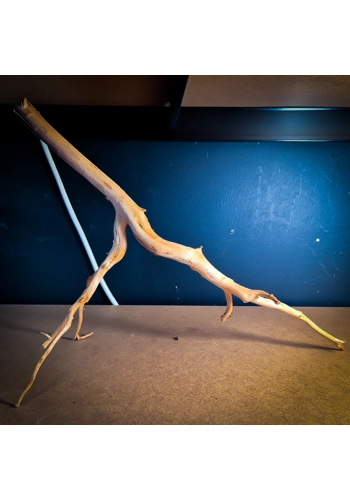 Spider Wood Large SW9 (45-60CM)