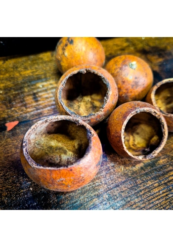 Kuchila Pods (Pack of 4)