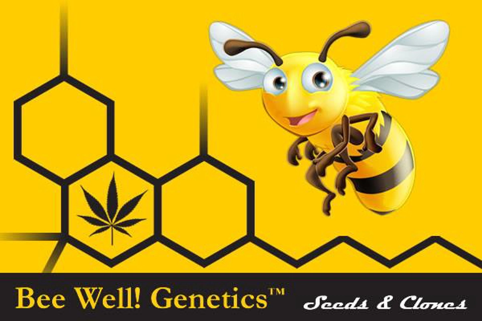 Moon Howler (Tenderheart CBD / Wulf Hemp)