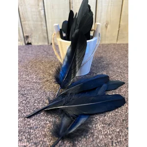 Black Feather