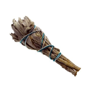 Small tied White Sage Smudge Stick