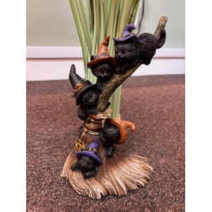 Witches cats on Broomstick