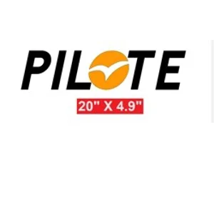 ~(D1) PILOTE MOTORHOME 20 X 4.9 Sticker-Decal-Graphic