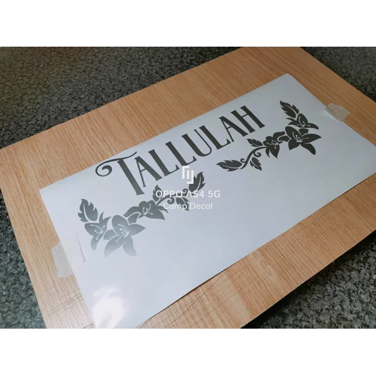 Any Name Your Camper / Motorhomes Name In Vinyl Decal