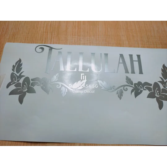Any Name Your Camper / Motorhomes Name In Vinyl Decal