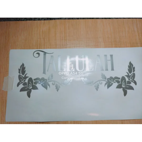 Any Name Your Camper / Motorhomes Name In Vinyl Decal