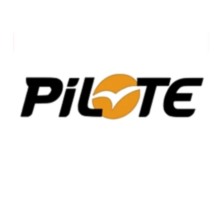 ~(D2) PILOTE MOTORHOME 14 X 3.4 Sticker-Decal-Graphic