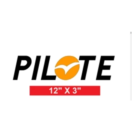 ~(D1) PILOTE MOTORHOME 12 X 3 Sticker-Decal-Graphic