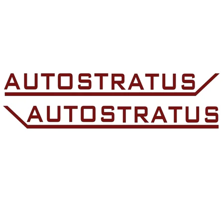 2 Large Autostratus Vinyl Decal 42in x 4.8in Other Colors Available