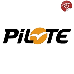 (D2) PILOTE MOTORHOME 12 X 3 Sticker-Decal-Graphic