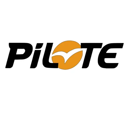 ~(D2) PILOTE MOTORHOME 12 X 3 Sticker-Decal-Graphic