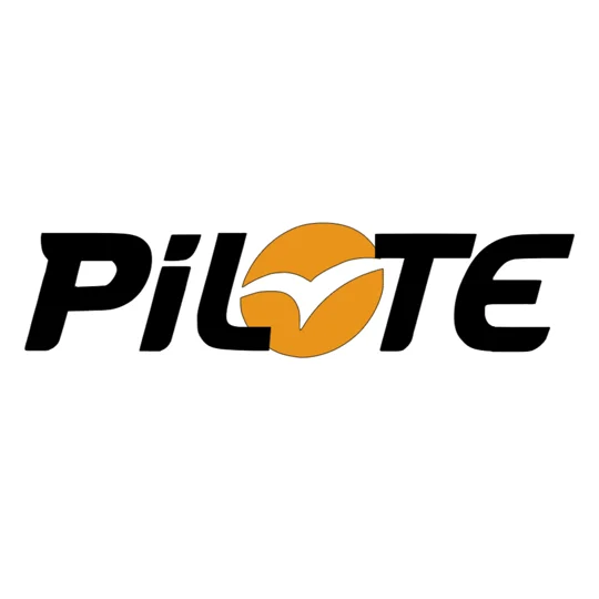 ~(D2) PILOTE MOTORHOME 20 X 4.9 Sticker-Decal-Graphic