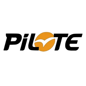 ~(D2) PILOTE MOTORHOME 16 X 4 Sticker-Decal-Graphic