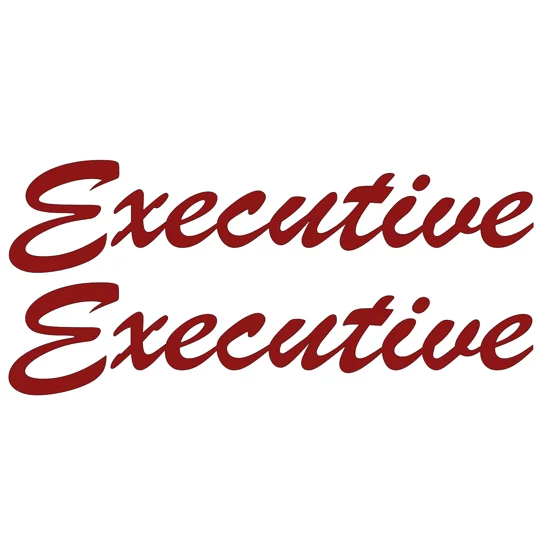 ~Part Of the Talisman Decal Set Executive in a Script Font