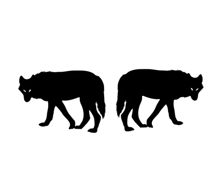 Pair Of Prowling Wolves, Left & Right, 2 sizes