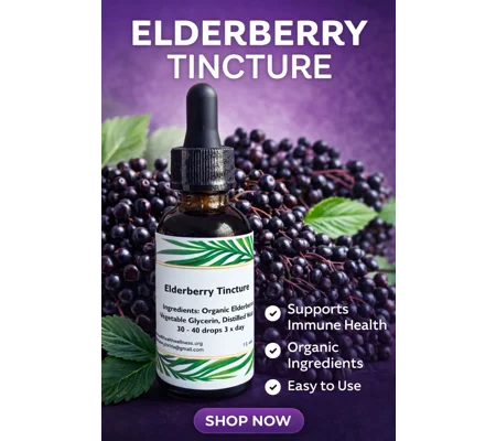 Non Alcohol Elderberry Tinctures