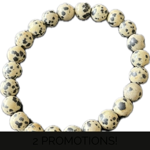 Dalmation Jasper Stretch Bracelet