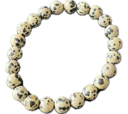 Dalmation Jasper Stretch Bracelet