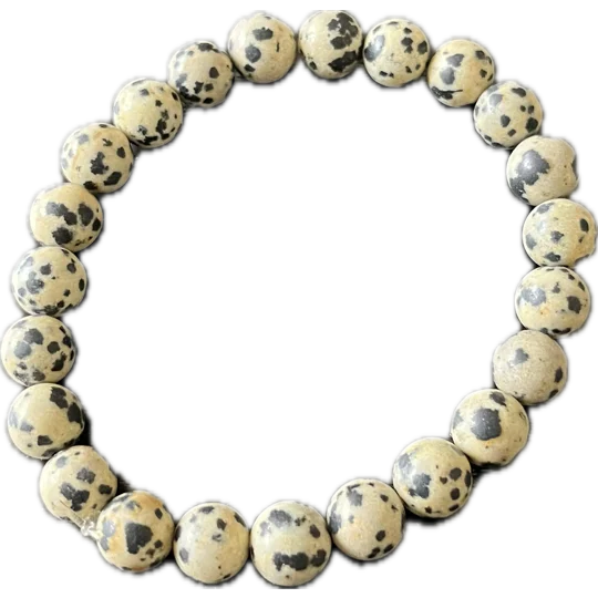 Dalmation Jasper Stretch Bracelet