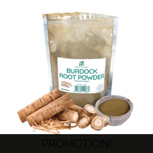 Burdock Root