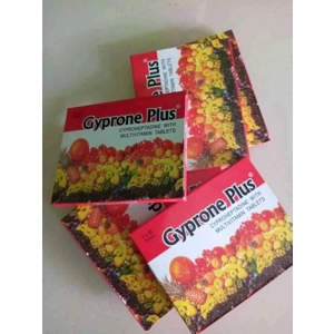 Gyprone PLUS Multivitamin Tablets Weight Gain 2 packs