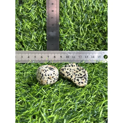 Dalmation Jasper Large
