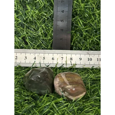 Petrified Wood