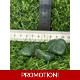 Green Quartz