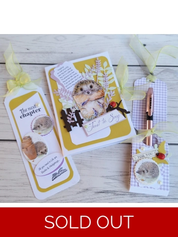 Hedgehog stationery set