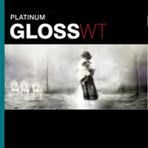 PLATINUM GLOSS WT 290gsm 44'' x 15m Roll