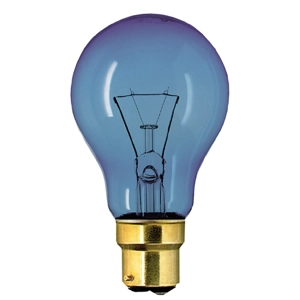 Daylight Bulb BC  60w