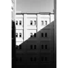 Kodak Professional Tri-X 400 - 120 Film