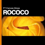 FT CANVAS GLOSS ROCOCO 380gsm 17'' x 15m - Roll