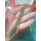 Senko - Summer Frog 8pc