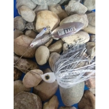 Silver Flash