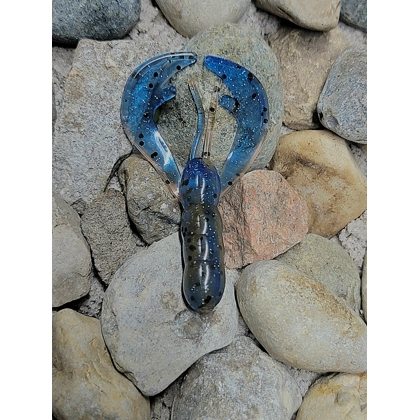 Molt Ned - Orange/Blue 12pc