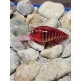 Red Boy