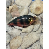 Orange Perch