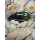 Green Perch