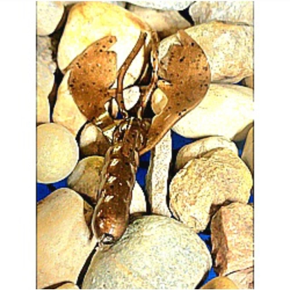 Crawdad Green Pumpkin - 6pc