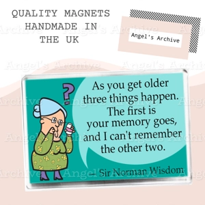 Senior Moments ✳ Magnet ✳ Getting Old Quote ✳ Joke Gift