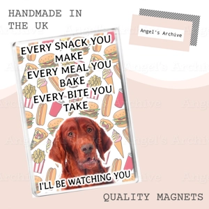 Every Snack You Make ✳ Dog Quote ✳ Irish Setter ✳ Magnet ✳ Gift