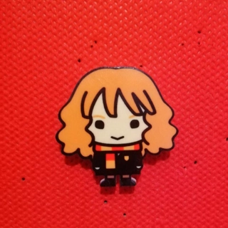 Harry Potter pin badge ..