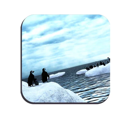 Original Art Drinks Coaster - Penguin Life