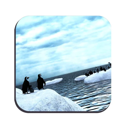 Original Art Drinks Coaster - Penguin Life